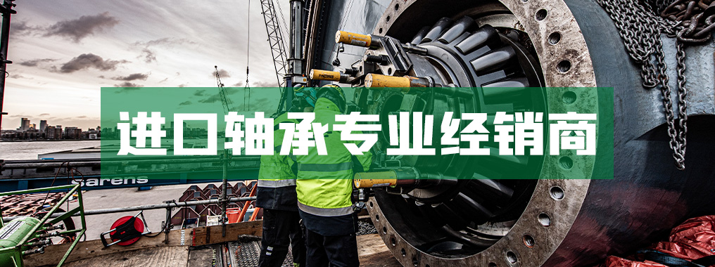 玖動(上海)軸承有限公司